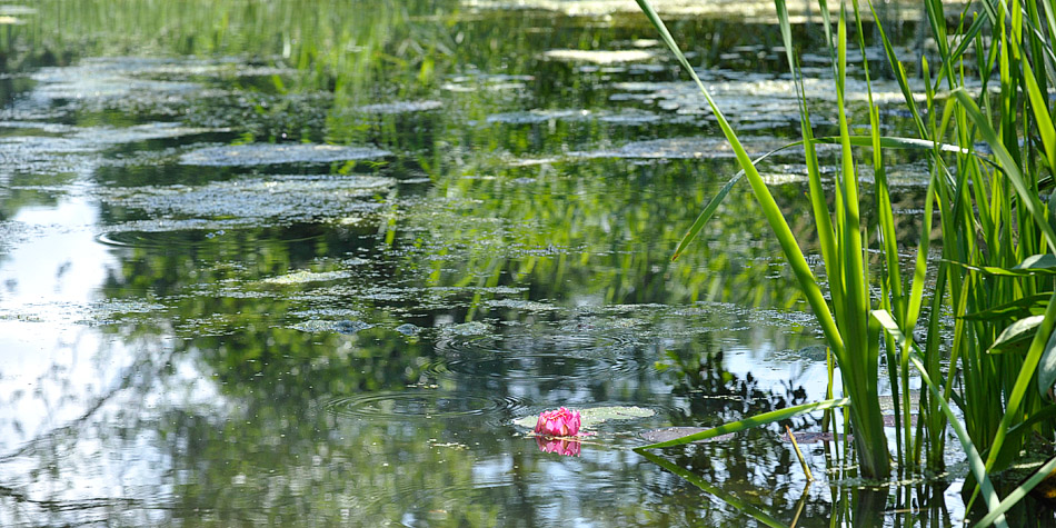 Buchenhof - Warnowtal - Mecklenburg Vorpommern